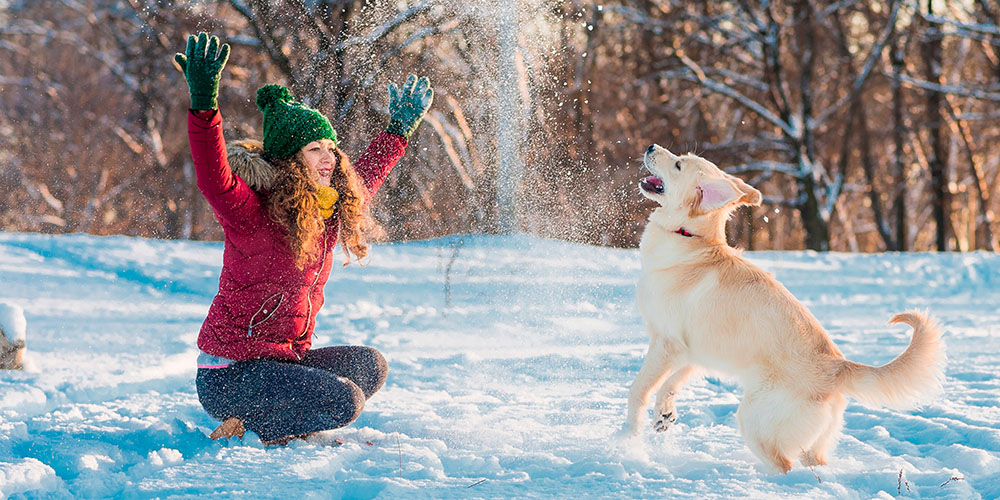 Mejores cosas que hacer en la nieve: actividades invernales