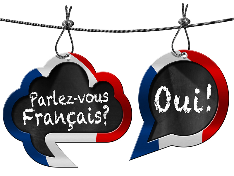 ¿Viajas a Francia o Quebec? Estas frases en francés, cortas y fáciles, te ayudarán a comunicarte mejor con el resto de los francoparlantes. Te decimos su significado y pronunciación